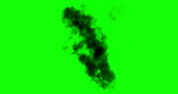 Alpha Channel Black Smoke Rises Large Burning Object Ideal Simulating — Wideo stockowe