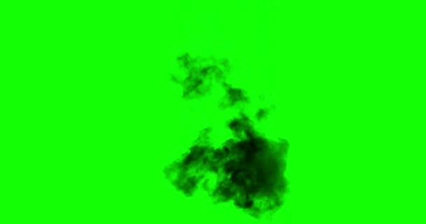 Alpha Channel Black Smoke Rises Large Burning Object Ideal Simulating — Wideo stockowe