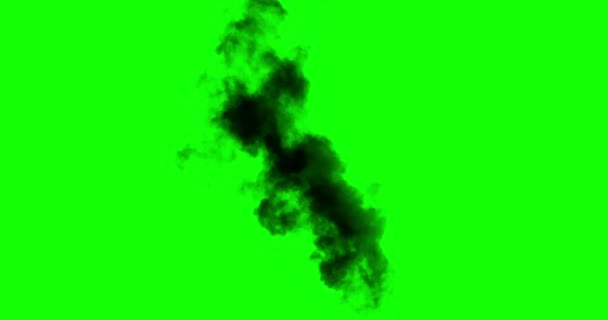 Alpha Channel Black Smoke Rises Large Burning Object Ideal Simulating — Stock Video