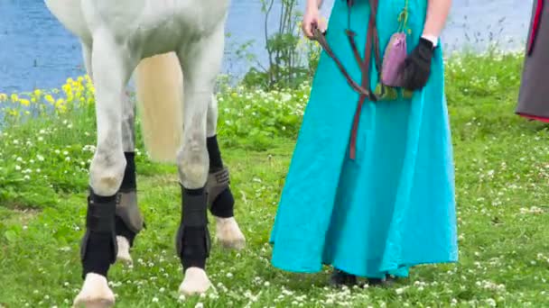在情妇的照顾下 一匹血统的马在河边风景如画的草地上吃草 — 图库视频影像
