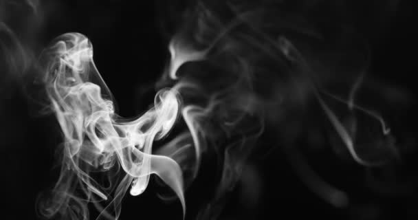 Thin Stream Smoke Curls Bizarre Shapes Fills Space Filmed Speed — Stock Video