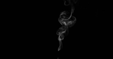 Açıkça ifade duman ekranın altından yavaş yavaş yükselir ve formları zarif katlanmış bir siyah arka plan üzerine beyaz. 120 fps hızında filme