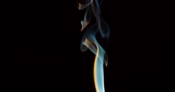 Natural Color Smoke Slowly Rises Forms Slowly Dissolving Vortices Filmed — Stock Video