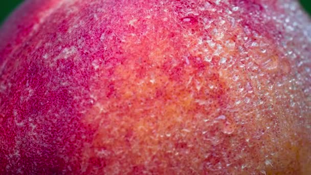 Peach Closeup Rotates Front Lens Its Velvety Surface Covered Small — Stock Video