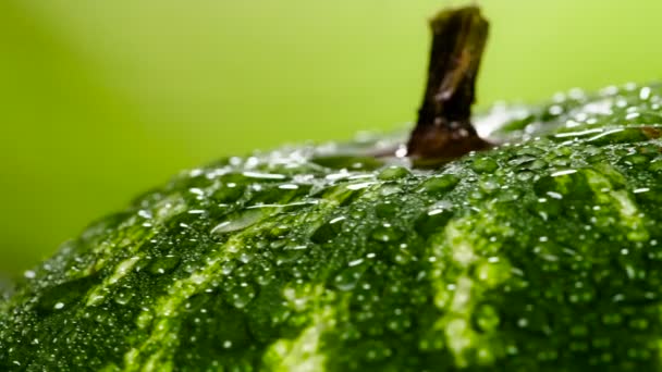 Sandía Está Abundantemente Cubierta Con Gotas Brillantes Agua Rota Lentamente — Vídeos de Stock