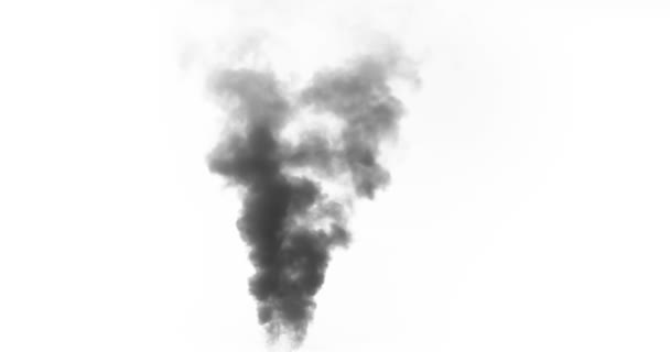 Black Smoke Rises Large Burning Object Ideal Simulating Burned Equipment — Stock Video