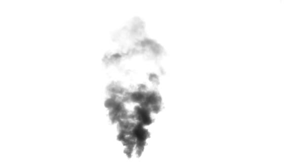 Черный Дым Поднимается Большого Горящего Объекта Идеально Подходит Имитации Сгоревшего — стоковое видео