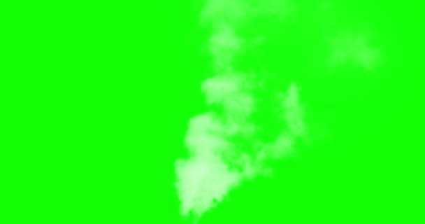 Альфа Канал Белый Пар Дым Медленно Поднимается Вверх Постепенно Растворяясь — стоковое видео