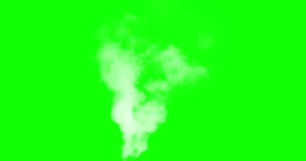 阿尔法频道白色的蒸汽或烟雾慢慢向上上升逐渐溶解 适用于模拟吸烟管道 间歇泉 蒸汽机车或轮船等 — 图库视频影像