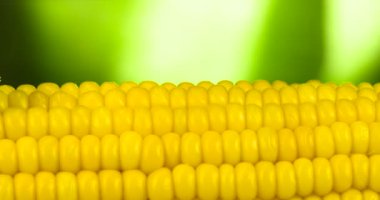 Bir parça tereyağı bir çatalı yavaş yavaş sinirli sıcak Mısır, iştah açıcı bir erime iz bırakarak yüzeyi boyunca hareket eder