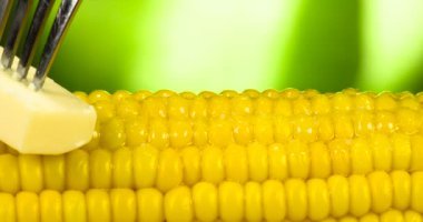 Bir parça tereyağı bir çatalı yavaş yavaş sinirli sıcak Mısır, iştah açıcı bir erime iz bırakarak yüzeyi boyunca hareket eder