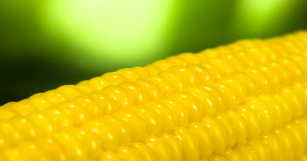 Зерна Соли Медленно Падают Горячую Кукурузу Смазанную Маслом — стоковое видео