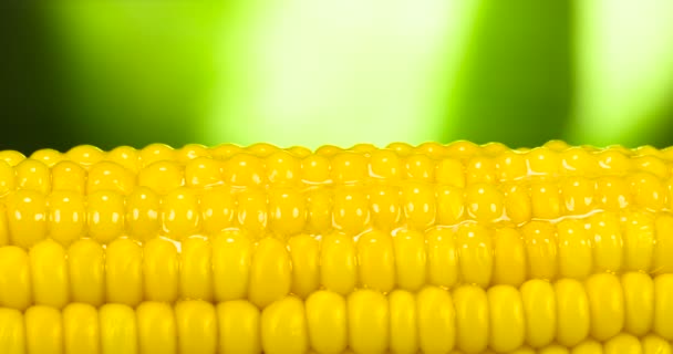 Зерна Соли Медленно Падают Горячую Кукурузу Смазанную Маслом — стоковое видео