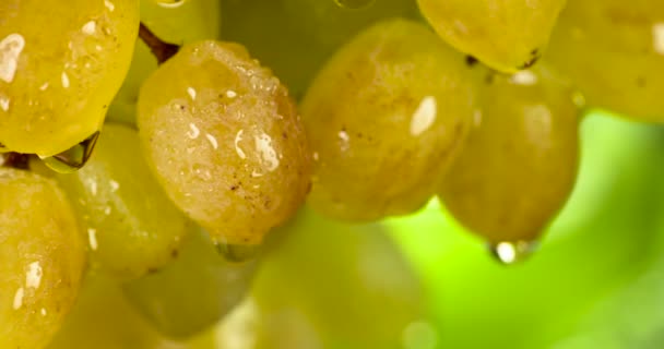 Groene Druiven Bedekt Met Transparante Waterdruppels Draaien Langzaam Voor Camera — Stockvideo