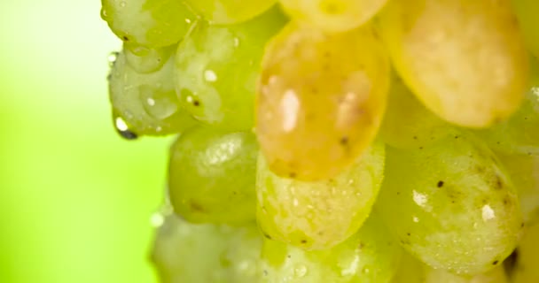 被透明水滴覆盖的绿葡萄在摄像机前慢慢旋转 — 图库视频影像