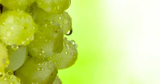 Une Grappe Raisins Verts Recouverte Gouttelettes Eau Transparentes Tourne Lentement — Video