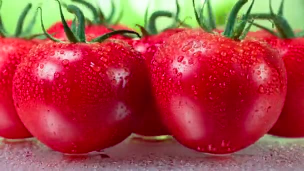 视频循环 明亮的西红柿 绿色的尾巴上覆盖着晶莹的露珠 — 图库视频影像