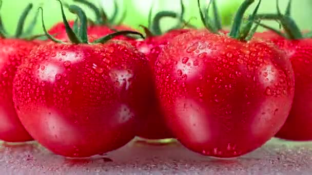 Video Loops Los Tomates Brillantes Con Colas Verdes Están Cubiertos — Vídeos de Stock