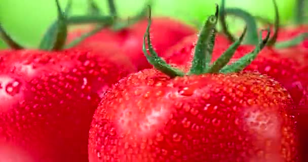 Video Loops Los Tomates Brillantes Con Colas Verdes Están Cubiertos — Vídeos de Stock