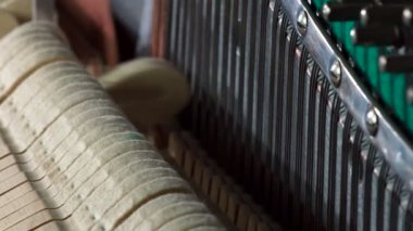 Araç içinde dizeleri çarpıcı yumuşak keçe kaplı piyano çekiç