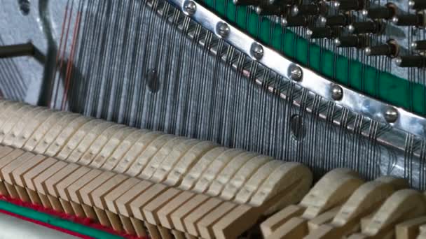 Piano Hammers Alternately Run Different Directions Striking Strings — Stock Video