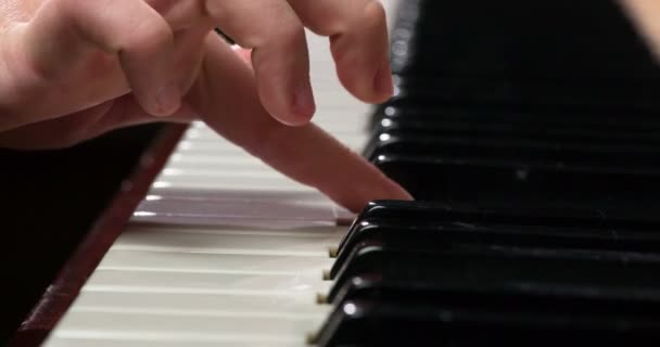 Dedos Criança Tocam Lentamente Teclas Piano Extraindo Uma Melodia Simples — Vídeo de Stock