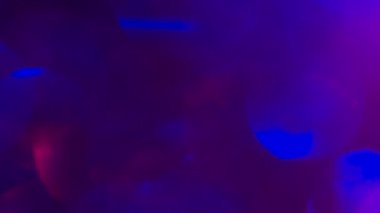 Aydınlık, pırıl pırıl çok renkli yuvarlak lekeler bokeh rastgele görüntülenebilir ve yok olabilir