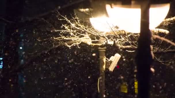 Nieve Nocturna Fuerte Fondo Ciudad Ardiendo Luces Árboles Cubiertos Nieve — Vídeo de stock