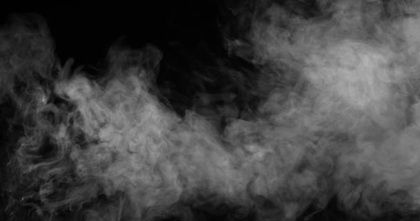 Weißer Rauch Bewegt Sich Langsam Vor Schwarzem Hintergrund Wirbelt Weißer — Stockvideo