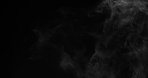 煙の残留物は暗闇の中で溶解します 黒い画面をクリアして 白い煙の残骸がゆっくりと右に浮かんでいます 120Fpsの速度で撮影 — ストック動画