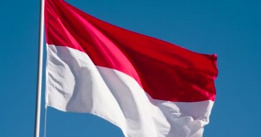 Büyük Devlet Bayrağı güneş tarafından aydınlatılır ve mavi gökyüzüne karşı rüzgarda destansı bir şekilde çırpınır. Yavaş Çekim 120 fps