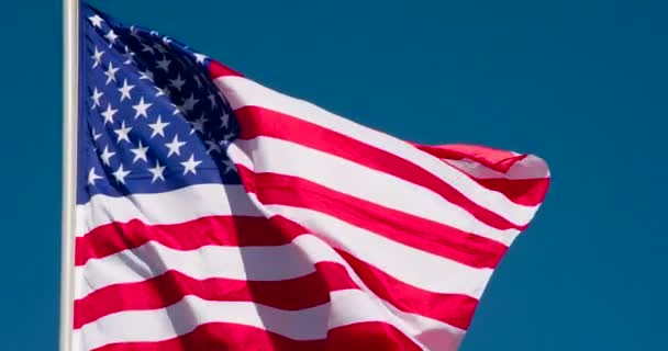 Nagy Állami Zászló Világít Nap Csapkod Epically Szél Ellen Kék — Stock videók