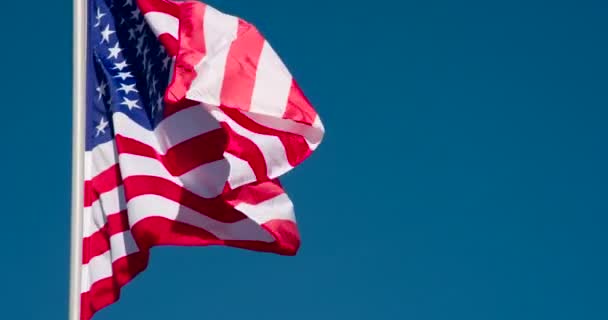 Die Große Staatsflagge Wird Von Der Sonne Angestrahlt Und Flattert — Stockvideo