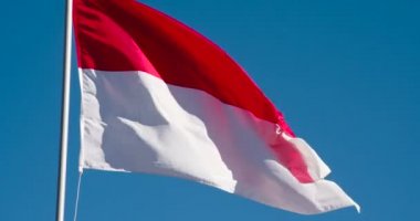 Büyük Devlet Bayrağı güneş tarafından aydınlatılır ve mavi gökyüzüne karşı rüzgarda destansı bir şekilde çırpınır. Yavaş Çekim 120 fps