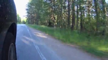 Araba Orman Yolu 'nda acele ediyor. Araba bir orman yolu boyunca hareket ediyor. Çerçevede, ön tekerlekte ve yolun kenarında.