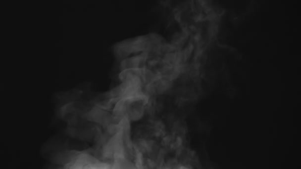 Steam Swirled Slowly Upward Movement White Steam Rises Large Pot — Stock Video