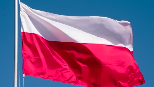 Die Polnische Flagge Weht Die Big State Flag Wird Von — Stockvideo