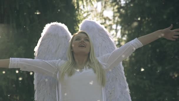 天使翼白衣女孩 一位身穿白衣的年轻漂亮的金发姑娘举手表决 她身后有白色的翅膀 白色的绒毛在空气中飘扬 慢动作速度240 Fps — 图库视频影像