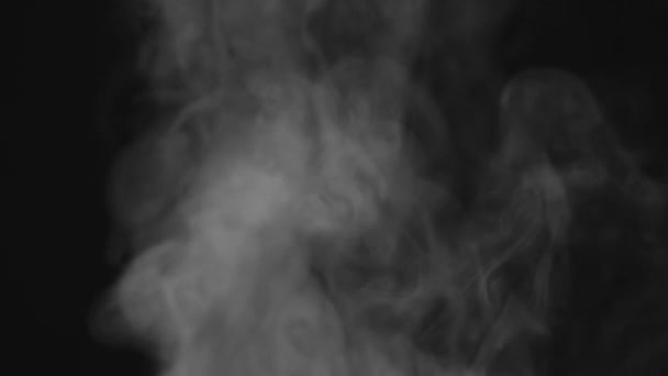 熱い蒸気の激しい乱流 黒い背景のお湯の近くから出てくる白い蒸気が画面を横切って動きます 240Fpsの速度で撮影 — ストック動画