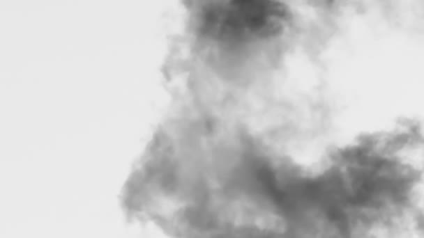 Черный Дым Вертикально Плывет Белом Черный Дым Медленно Поднимается Белом — стоковое видео