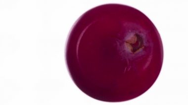 Bir kızılcık suyu. Kızılcıklar, parlak beyaz bir arka planda sıkıştırılıp ezilerek sulu bir posa ve parlak bir kabuk oluştururlar. 120fps 'te atış