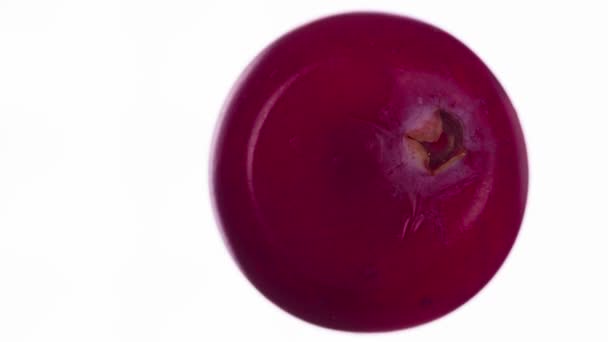 Juice Från One Cranberry Tranbär Komprimeras Och Krossas Närbild Ljus — Stockvideo