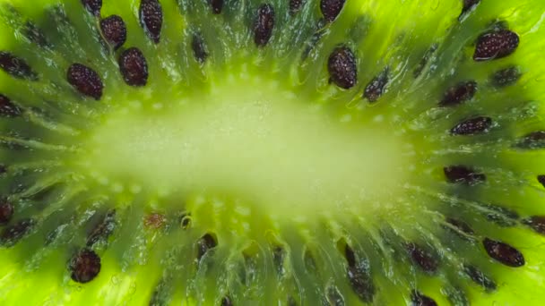 Kivi Dilimlerini Ezmek Kivi Meyvesi Dilimleri Sıkıştırılır Parlak Beyaz Bir — Stok video