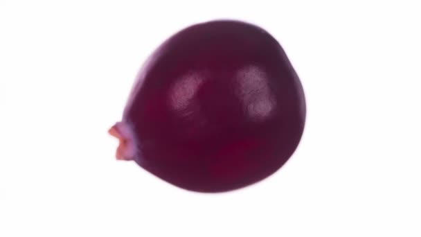 Suco Aperto Cranberries Cranberries São Compactados Esmagados Close Fundo Branco — Vídeo de Stock