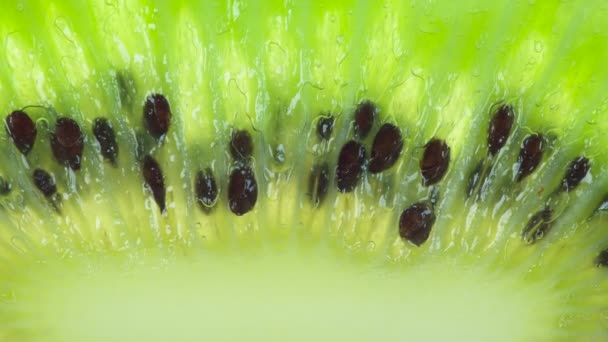 Krossa Ljus Skiva Kiwi Kiwi Frukt Skivor Komprimeras Och Krossas — Stockvideo