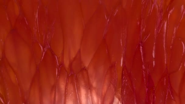 Saftige Grapefruit Lobule Zerquetschen Scheiben Und Stücke Von Grapefruit Werden — Stockvideo