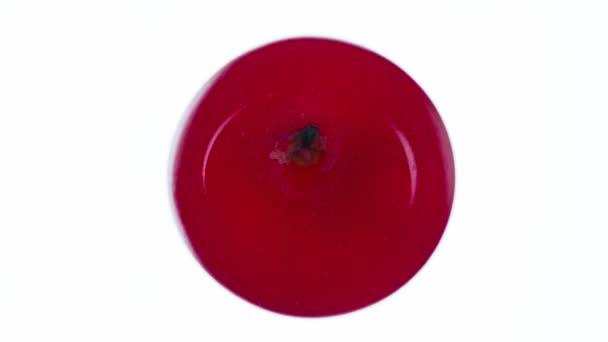 Squeeze One Viburnum Berries Bagas Viburno São Comprimidas Esmagadas Perto — Vídeo de Stock