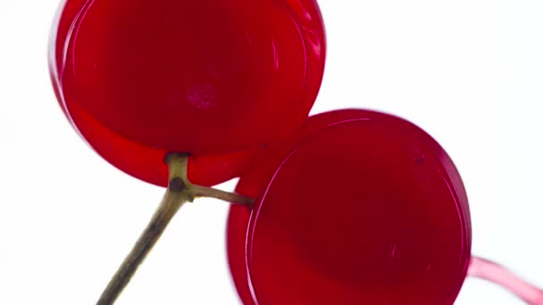 Berries Juicy Dari Viburnum Bawah Tekanan Buah Viburnum Dikompresi Dan — Stok Video