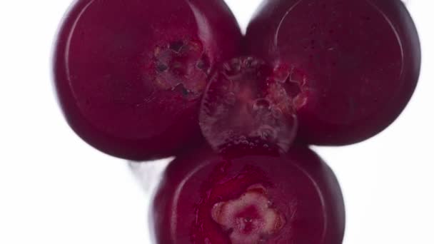 Krossa Tre Lingon Cowberry Komprimeras Och Krossas Närbild Ljus Vit — Stockvideo