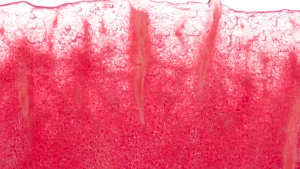 Saftiges Wassermelonenmark Auspressen Scheiben Und Scheiben Von Wassermelonen Werden Komprimiert — Stockvideo